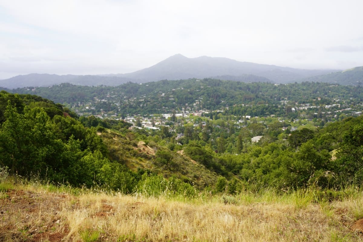 A scenic view from the top of San Rafael Hill.