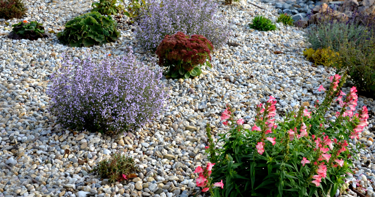 fire smart landscaping