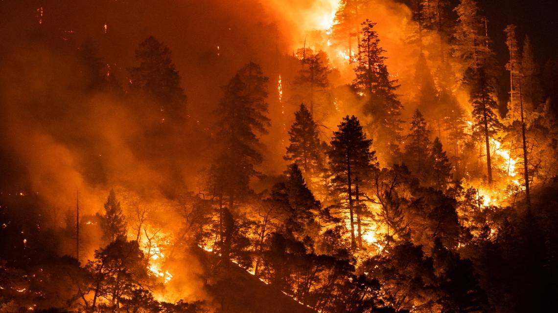 A forest on fire.