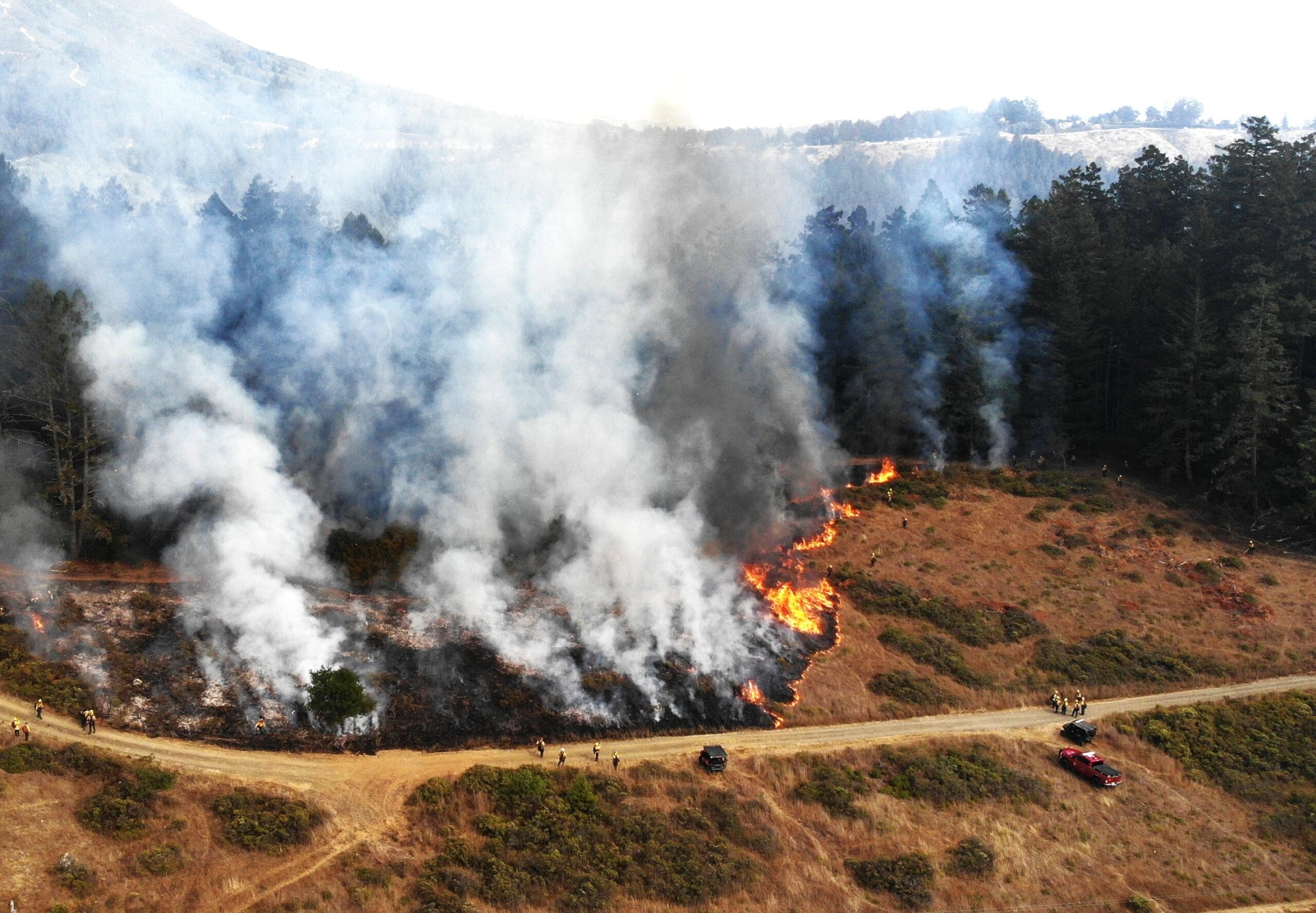 firefighters observe a prescribed burn in the hills next to the forest