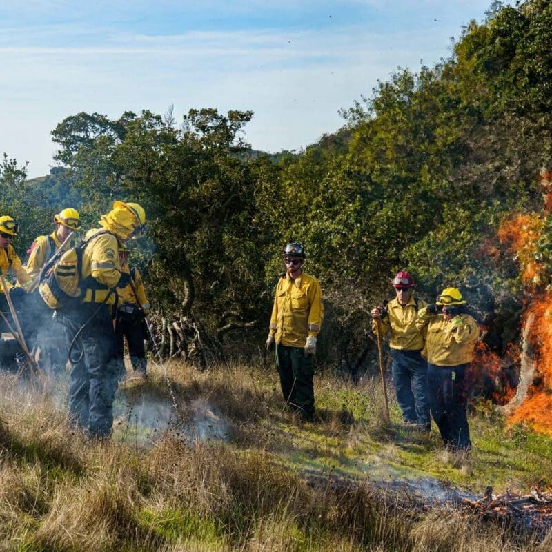 Fire Foundry recruits working a controlled burn