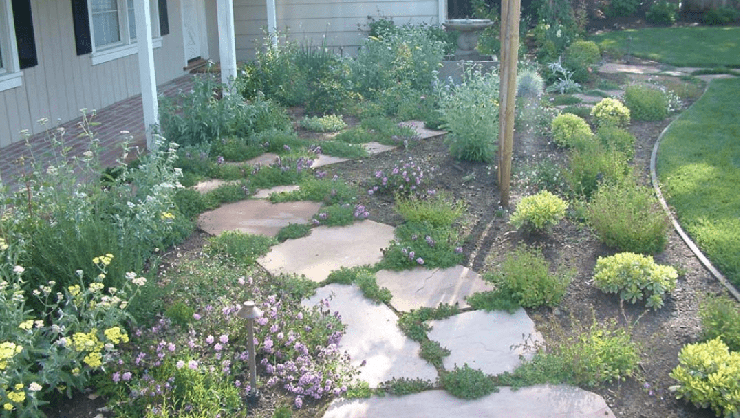 plants spaced along stone walk way
