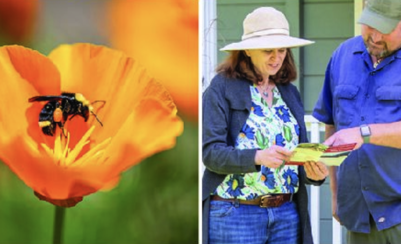 woman and landscaper discussing fire smart yards