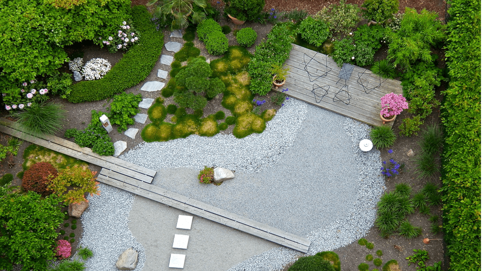 Spacing plants