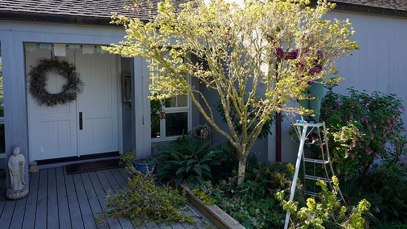 Entrance to a house