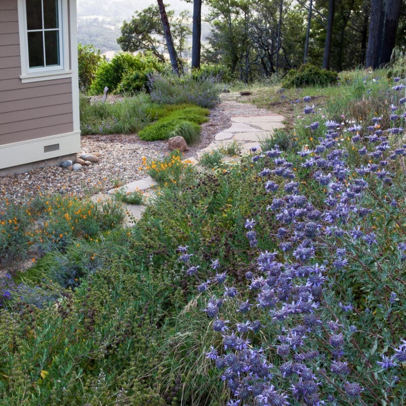 garden away from a house that has gravel around it