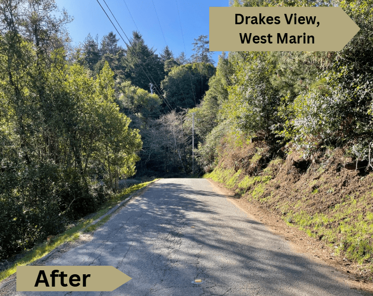 Road in a forested mountain area, trees on both sides, but the roadway is clear of any overhanging foliage.