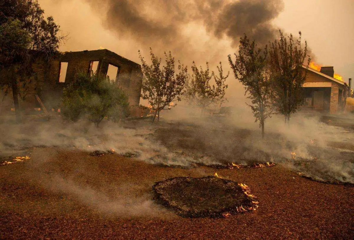 scorched earth