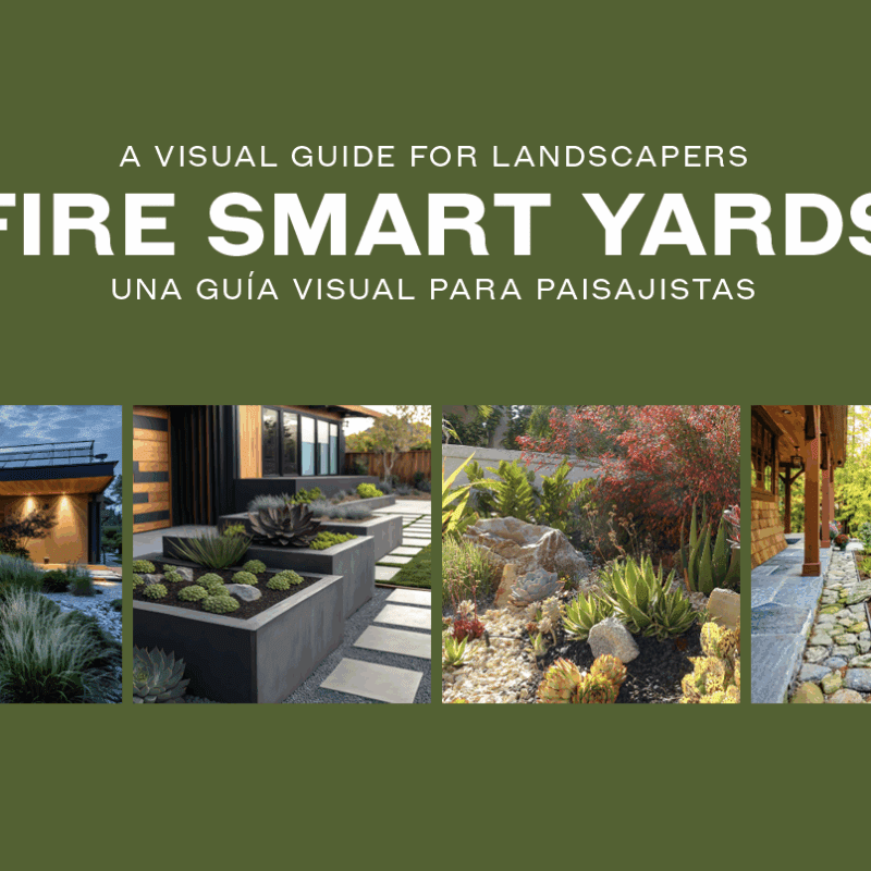 Fire Smart Yards