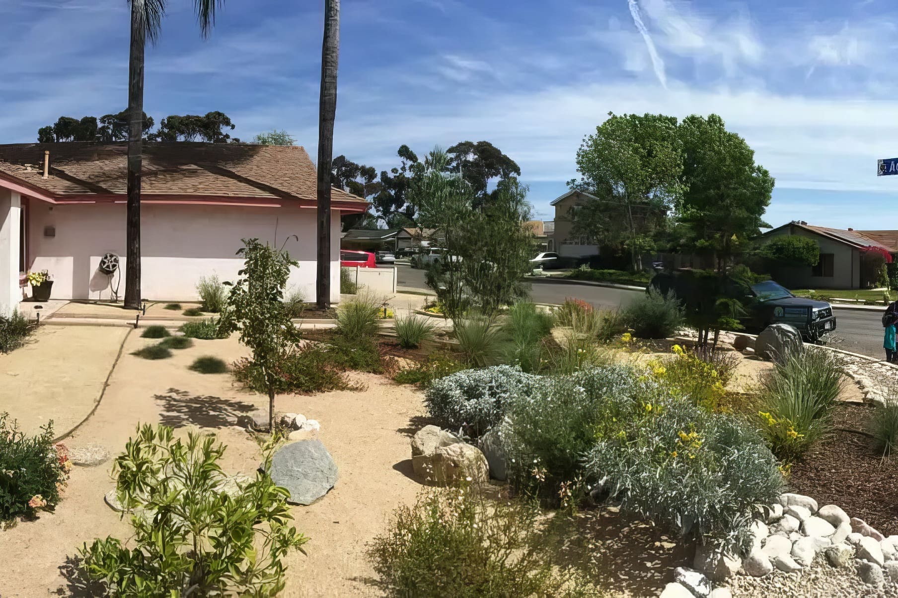 plant and tree spacing