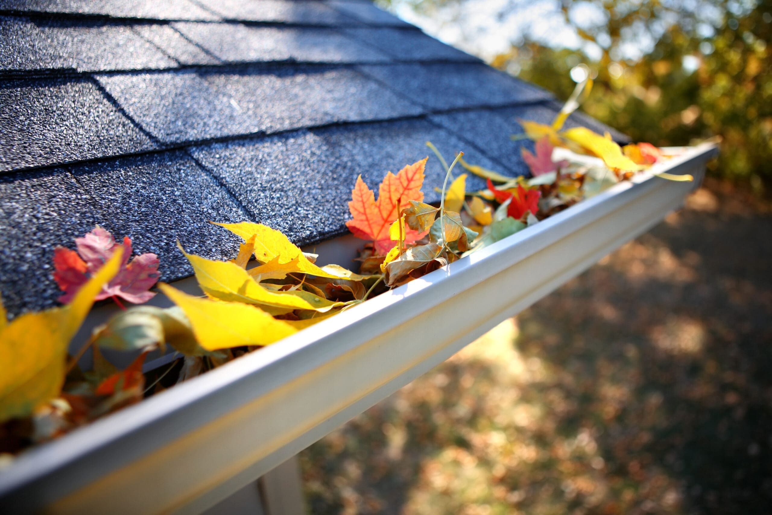Rain,Gutter,Full,Of,Autumn,Leaves