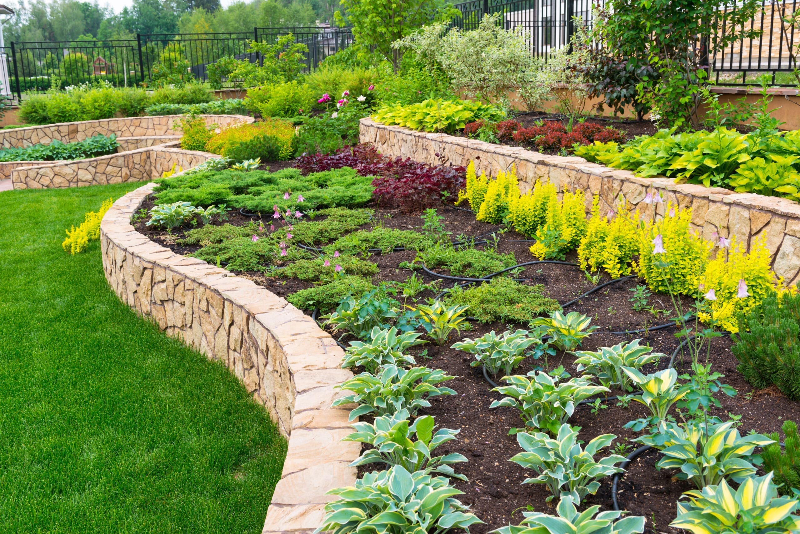 Landscape,Design,In,Luxury,Back,Yard,Of,Residential,House,,Landscaping