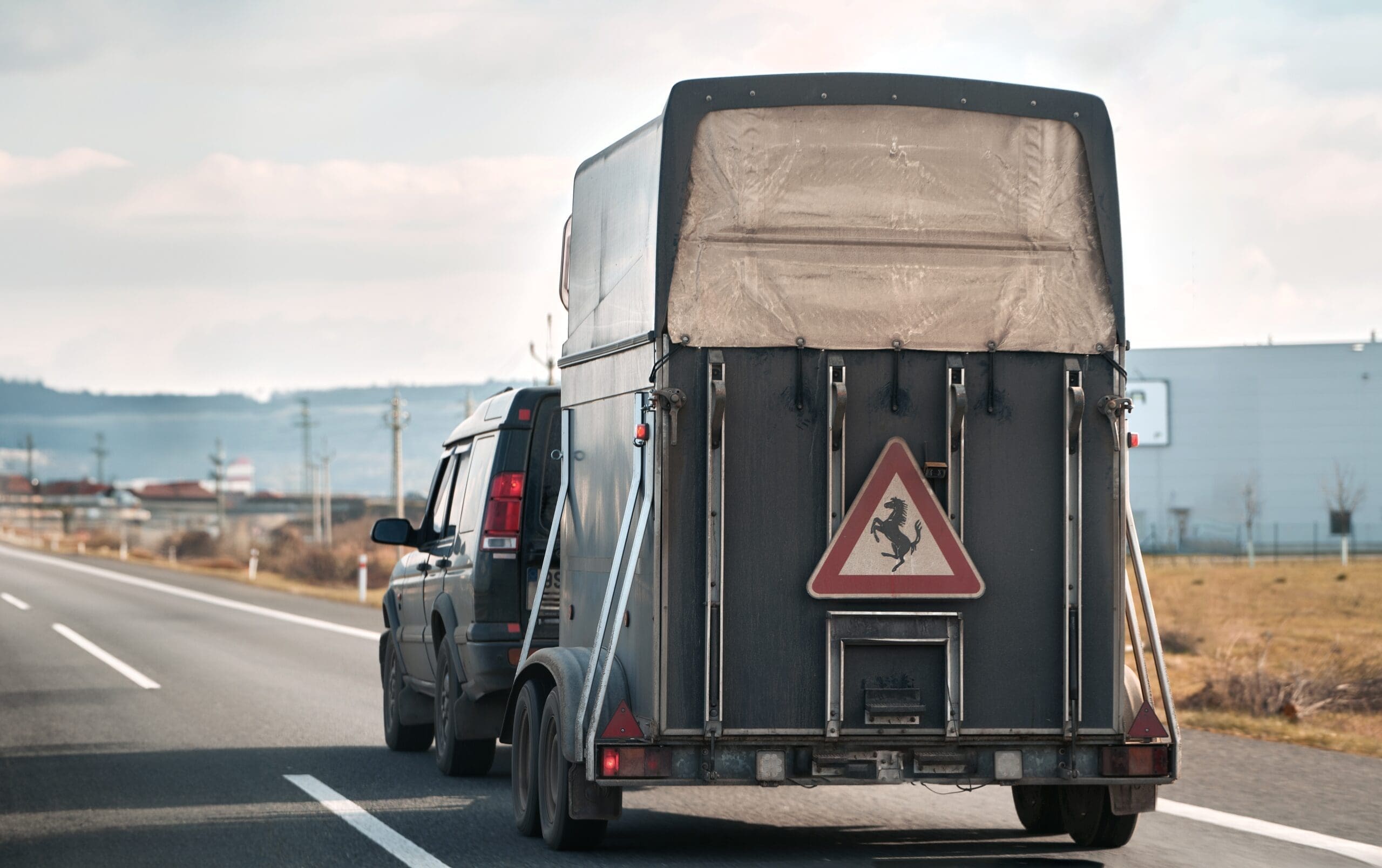 Road,Trip,With,Equine,Companion.,Horse,Trailer,Journey,Across,Europe.