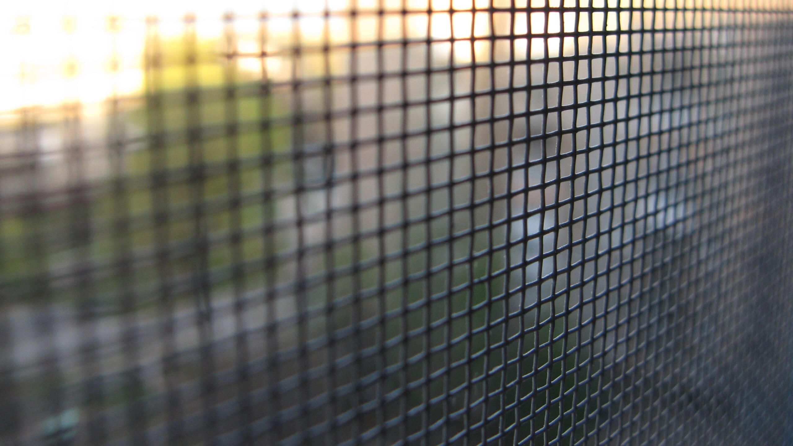 Protective,Mesh,On,The,Window,Against,Insects.