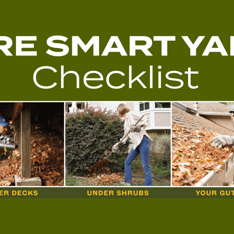 woman raking leaves, woman removing leaves from roof, man blowing leaves from under deck
