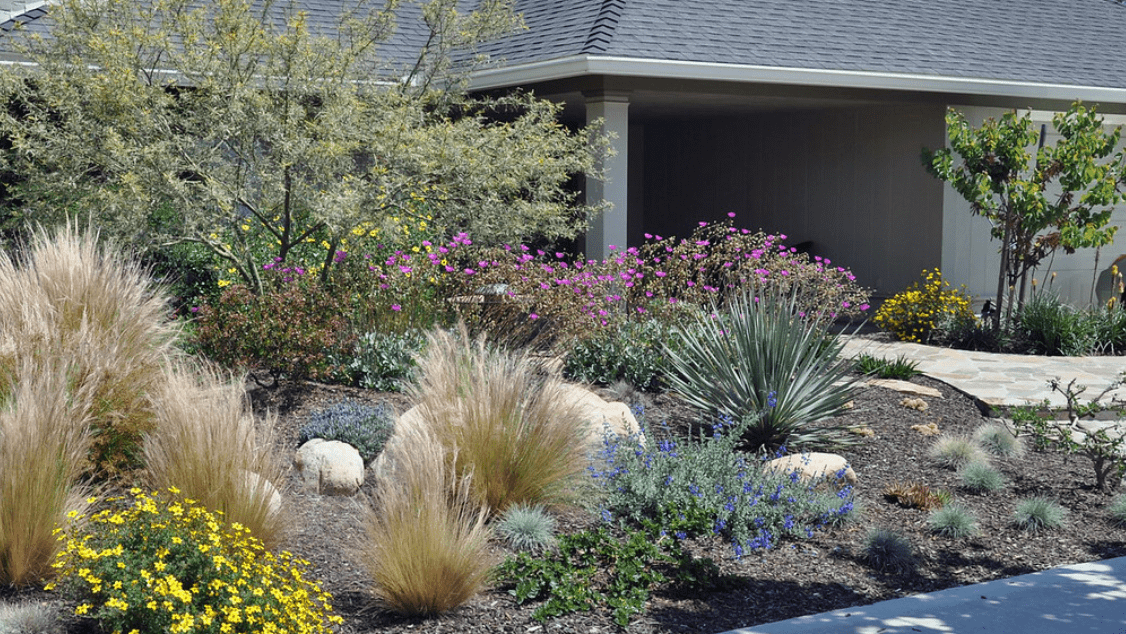 Plantings in front of home with walkway