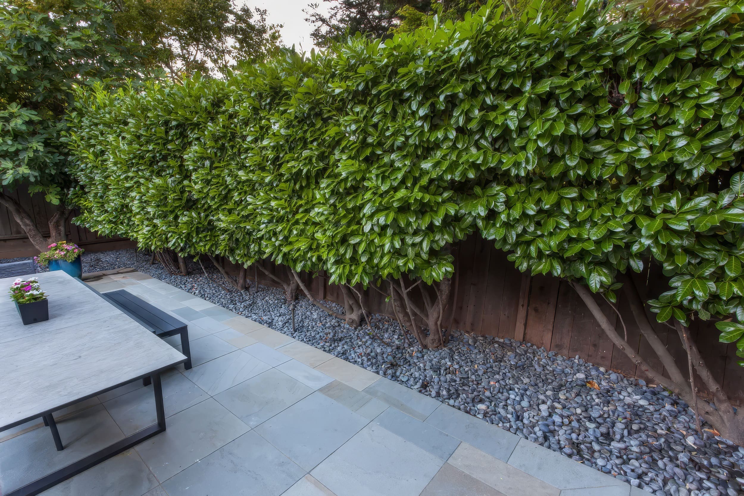 privacy screen